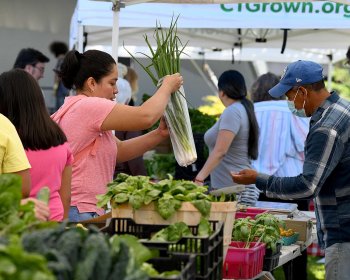 Danbury Farmers’ Market Expands Access to Fresh Food and Health Screenings with $45,000 Anonymous Donation
