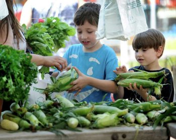 A Wealth of Health, Danbury Farmers Market Offers Exciting Opportunities!