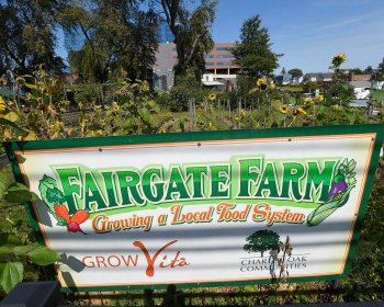 AARP Connecticut Otorga Subvención Comunitaria de Desafío a Nueve Organizaciones