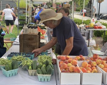 Hay Mucho Más que Frutas y Verduras en el Mercado de Agricultores de Danbury