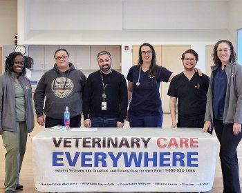 Talleres y Diversión en el Centro para Personas Mayores de Elmwood Hall Danbury